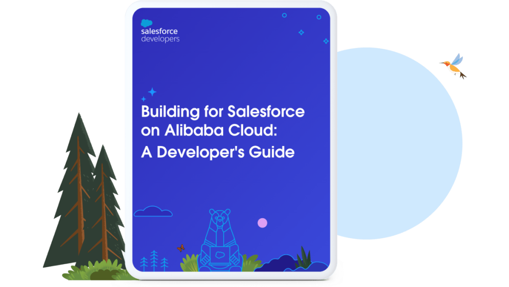 Illustration for a Salesforce Developer Guide.